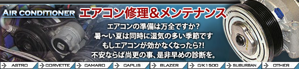 �G�A�R���C���������e�i���X